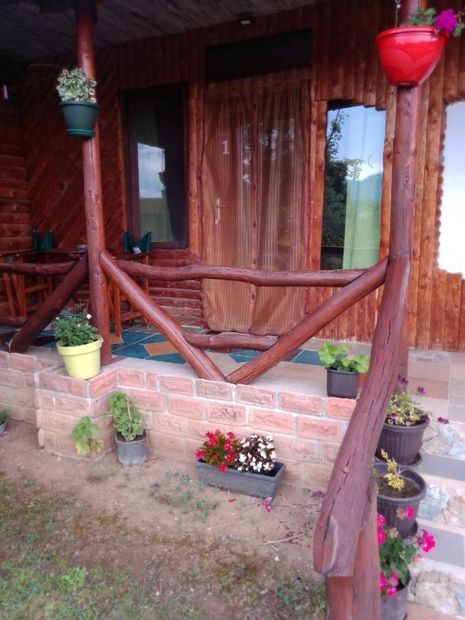 Appartement Hacijenda Gane à Sokobanja Extérieur photo