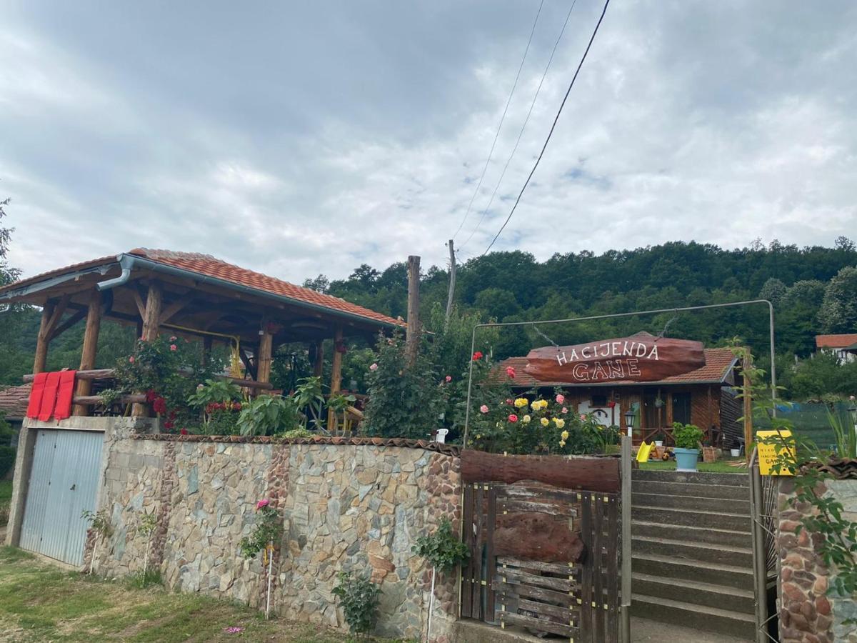 Appartement Hacijenda Gane à Sokobanja Extérieur photo