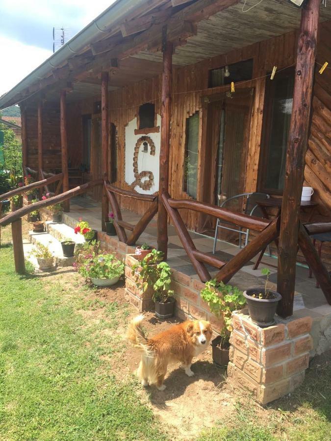 Appartement Hacijenda Gane à Sokobanja Extérieur photo